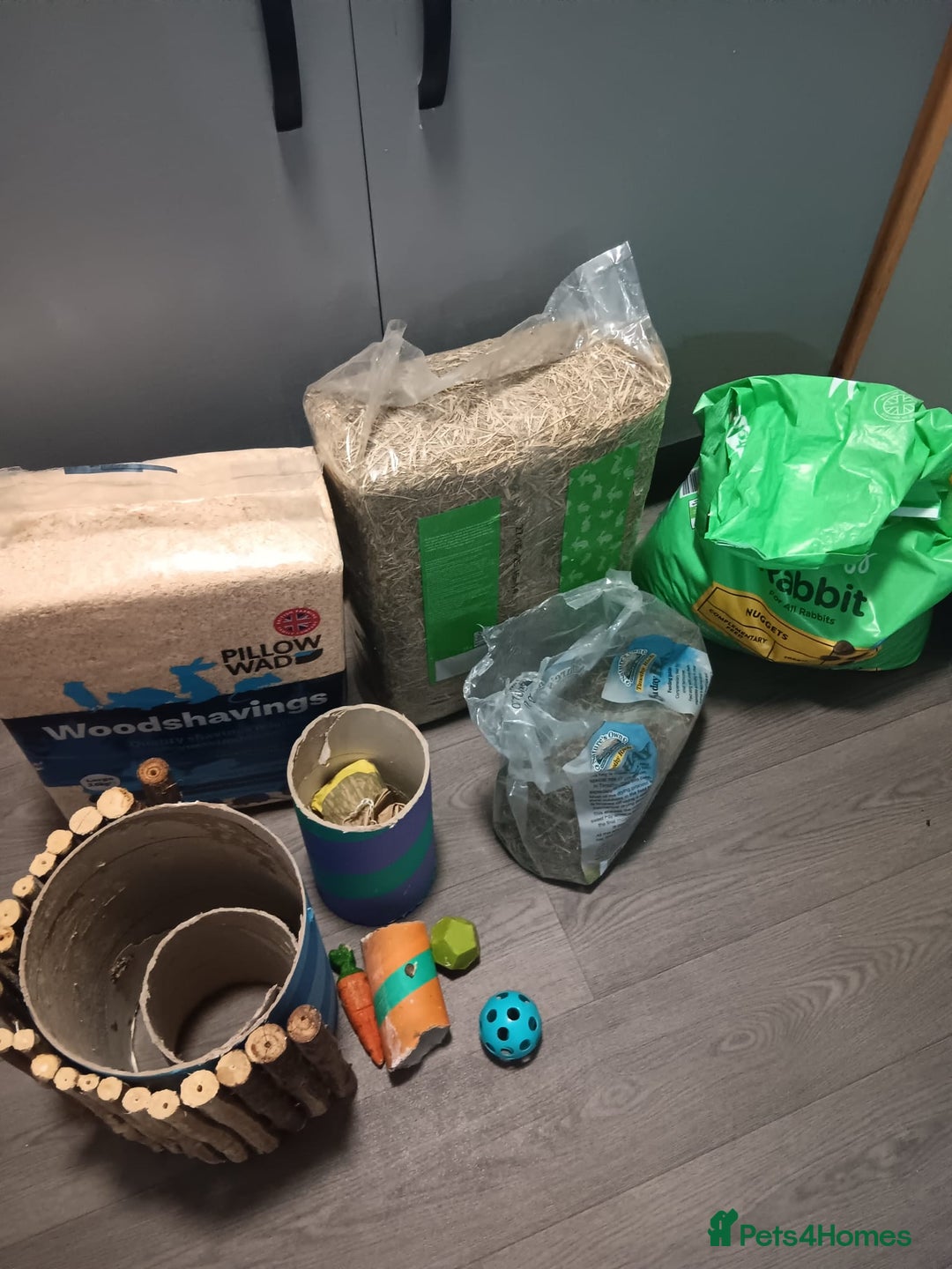 Mini Lop rabbits for sale: 2 Female Rabbits  - Advert 4