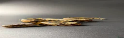 Python Snake reptiles for sale: Yellowbelly-het Pied Male - Advert 1