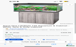 Angelfish fish for sale: Aqua one 125L and grey cabinet WITH FISH  - Advert 2