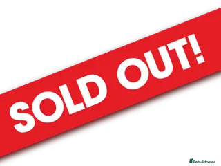 Mixed Breed cats Litter of 6 Kittens - Advert 17