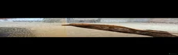 Gecko reptiles for sale: Crested gecko babies  - Advert 2