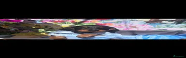 Doxiepoo 4