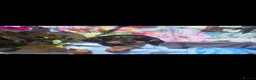 Doxiepoo dogs for sale: Beautiful F1 mixed doxipoo puppies  - Advert 21