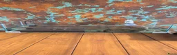 Terrapin reptiles for sale: Two terrapin for sale - Advert 3