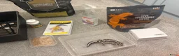 Leopard Gecko reptiles for sale: Leopard Gecko in York - Advert 4