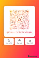 Rottweiler dogs - Advert 8