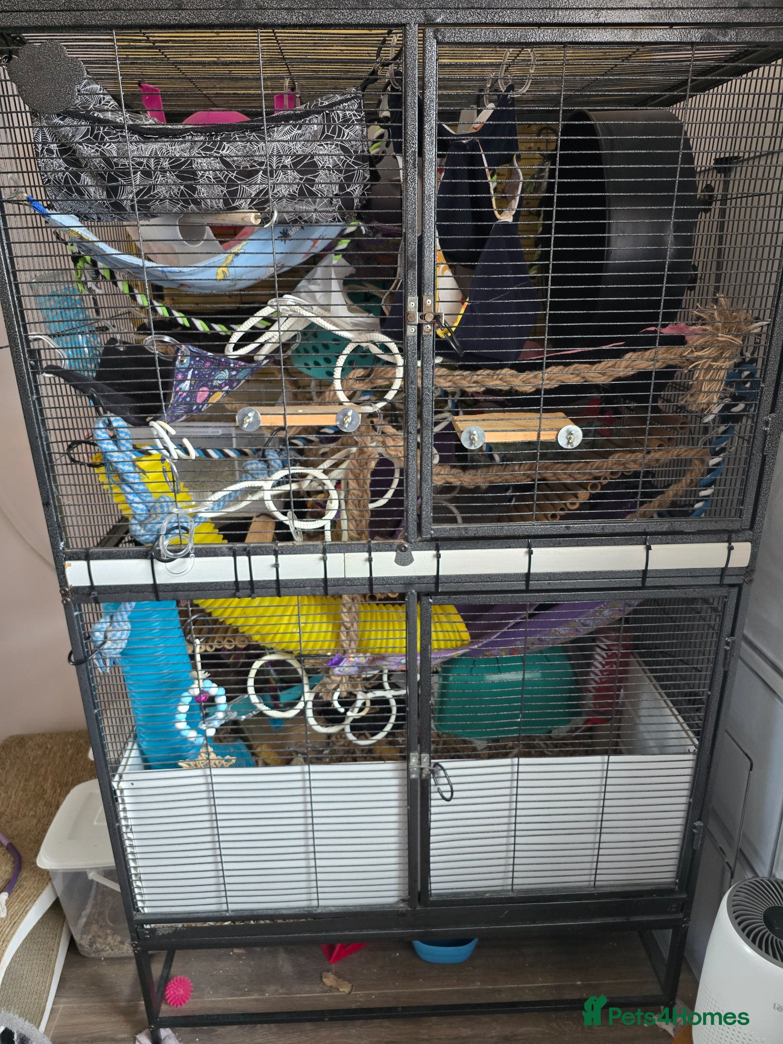 Rat rodents Rat cage (no rats) - full set up - Advert 4
