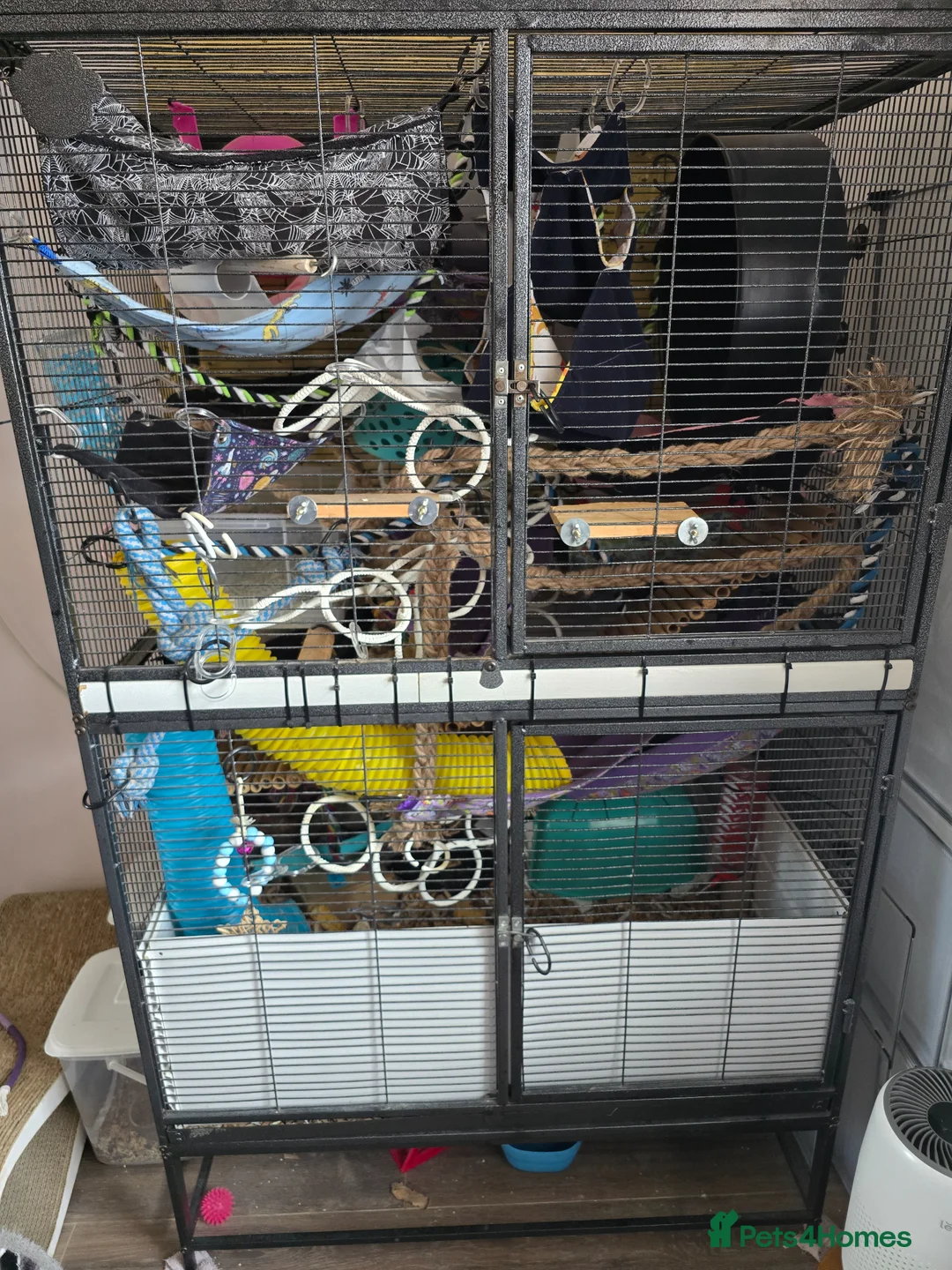 Rat rodents for sale: Rat cage (no rats) - full set up in Colchester - Advert 1