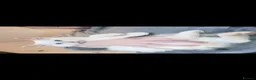 Ragdoll cats for sale: Health tested pure breed ragdoll kittens  - Advert 12
