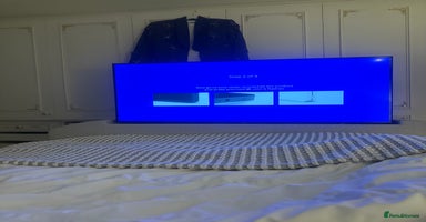 Exotic cats - Advert 9