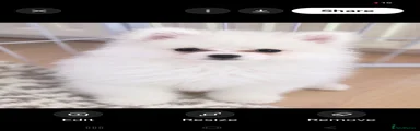 Casper