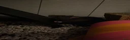 Rat rodents for sale: 2 male rats  in Worcester - Advert 4
