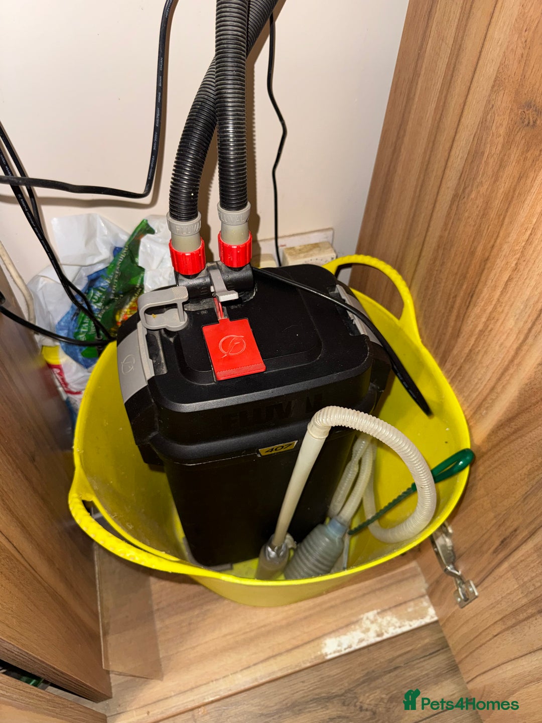 Other/Mixed Breed fish for sale: Tropical tank  - Image 4