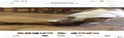 English Bulldog dogs for sale: English bulldog - Advert 3