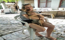 Mixed Breed dogs for sale: Adopt Adorable Rescue puppies Miki & Alice!  - Image 17