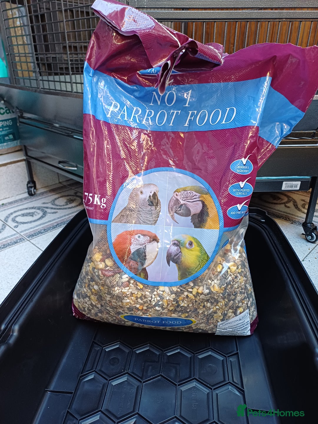 Macaws birds for sale: Blue & Gold Macaw For Sale - Image 10