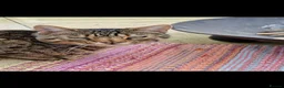 Bengal cats for sale: Pure Bengal looking for rural home as only cat.  - Advert 2