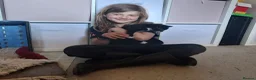 Mixed Breed cats for sale: 4 cute little kittens for sale in Bury Saint Edmunds - Advert 5