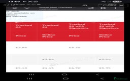 Snails invertebrates for sale: Albino giant African land snails- Fulica - Advert 6