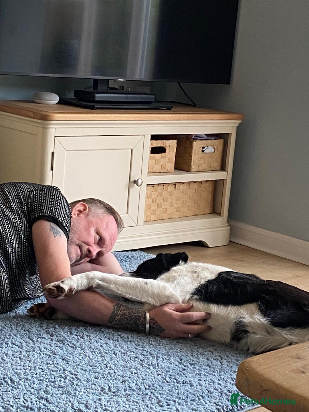 Mixed Breed dogs for adoption: 🐾 Meet Nala 🐾 - a loyal girl - for a Loving Home - Advert 6