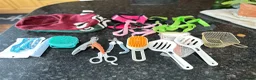 Mixed Breed cats for sale: Cat pair for sale with all accessories  - Advert 13