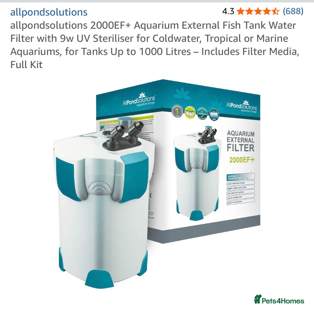 Other/Mixed Breed fish for sale: 500L Aquarium with Fish, Heater & External Filter  in London - Advert 2