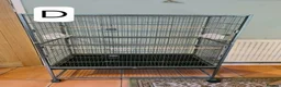 Budgerigars birds for sale: Bird Cages - Advert 8