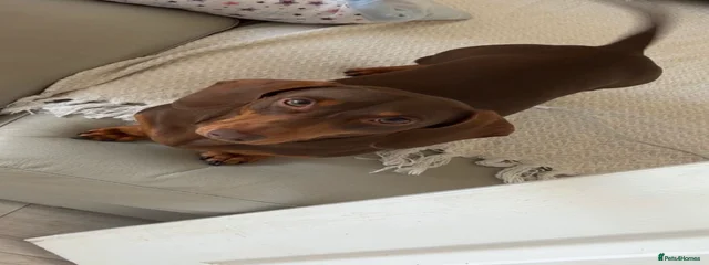 George 