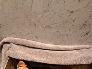 Mixed Breed dogs Pups ready at 8 weeks old currently at 3 weeks - Advert 6