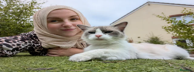 Gigi
