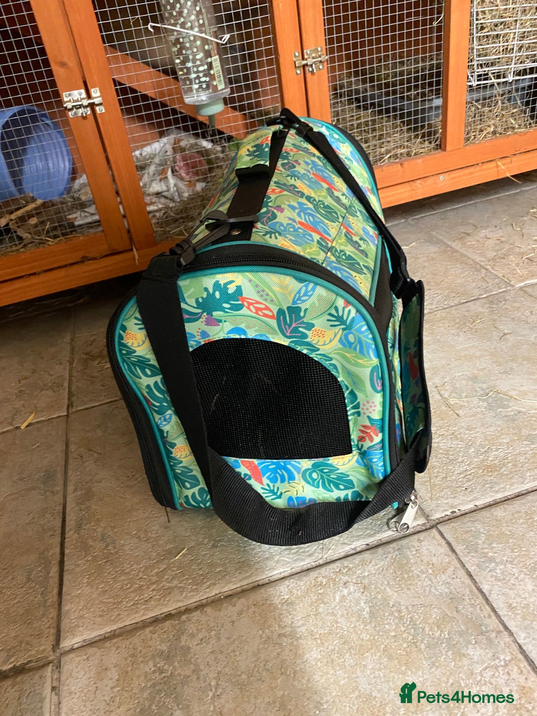 Lionhead rabbits for sale: 2 Lionhead Bunnies. cage and carrier include. - Advert 9