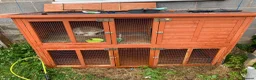 Mini Lop rabbits for sale: Miss Stacey Shaw in Ellesmere Port - Advert 1