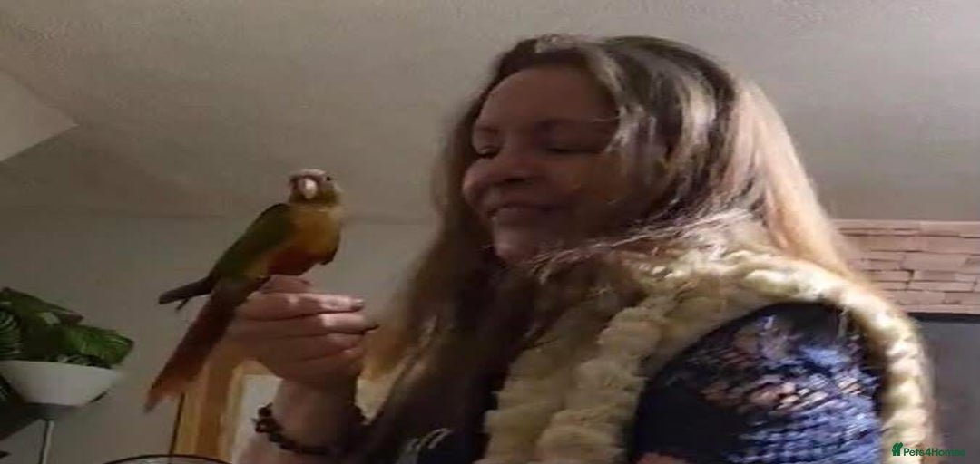 Gallery Image {{count}}