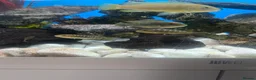 Cichlids fish for sale: Cichlids for sale  - Advert 3
