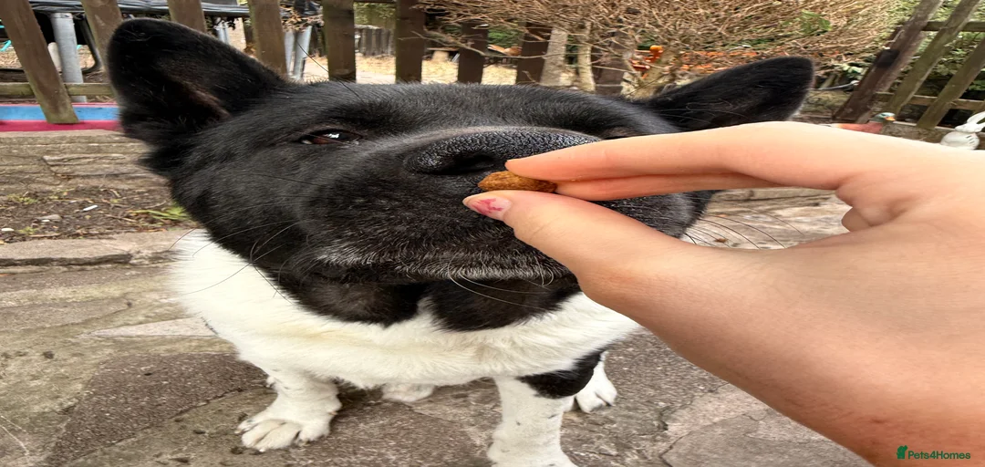 Gallery Image {{count}}