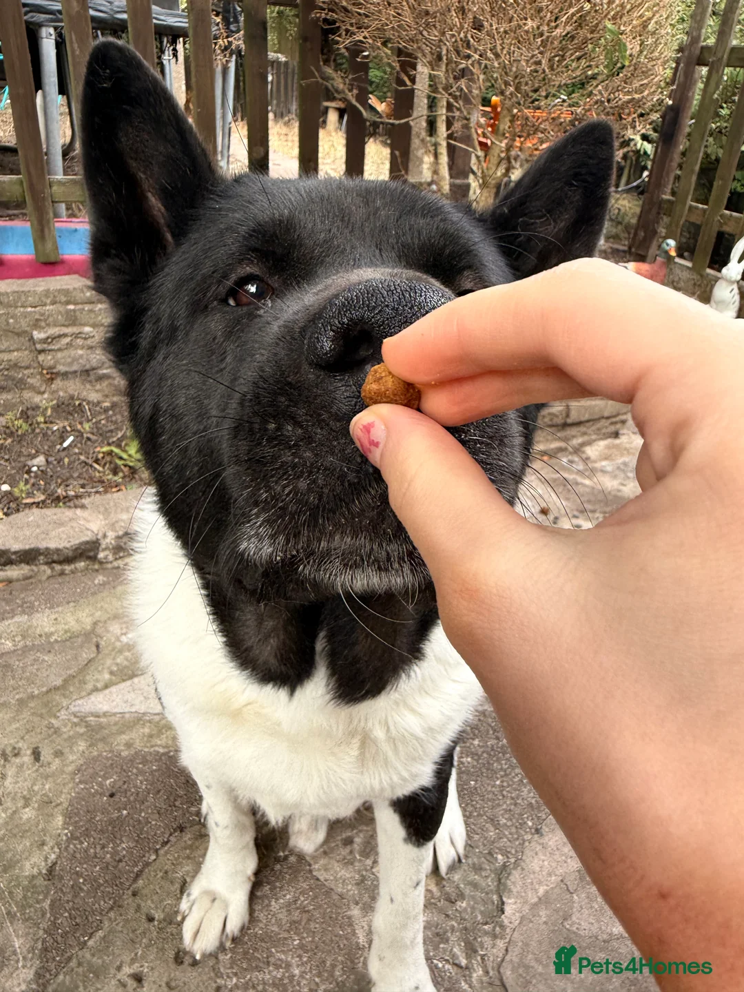 Gallery Image {{count}}