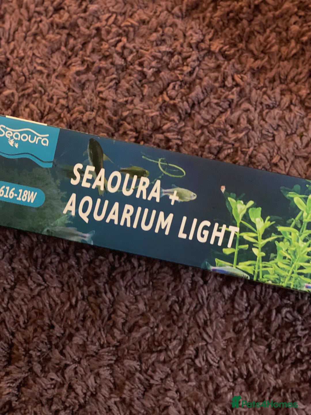 Catfish fish for sale: Complete fish tank set up with fish - Advert 5