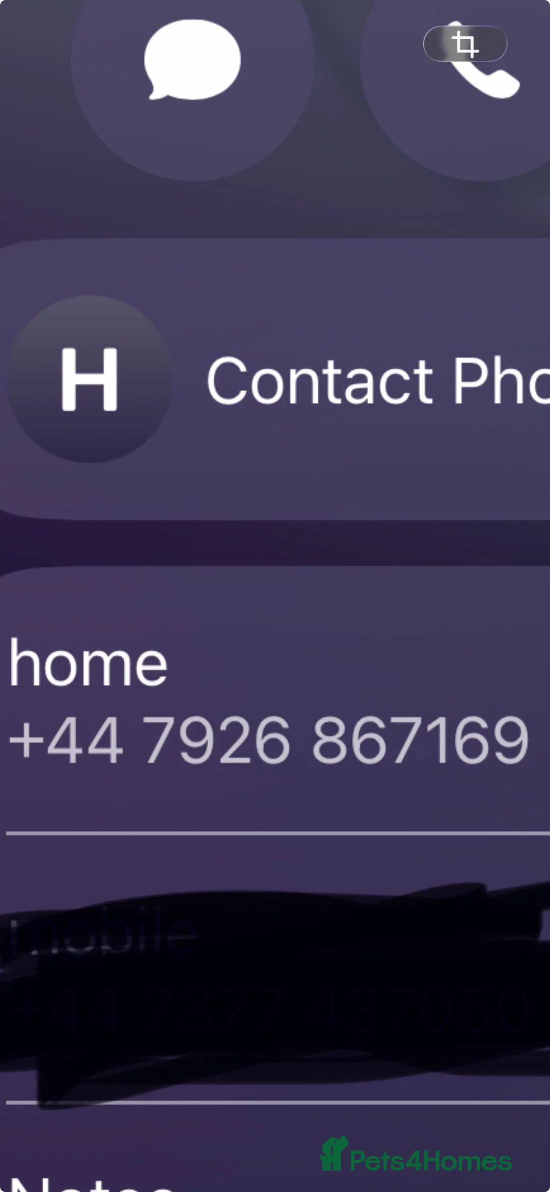 Canaries birds for sale: CANARIES AND CAGES  in Sheffield - Advert 2