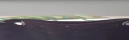 Chameleon reptiles for sale: Veiled chameleons  - Advert 5