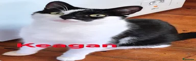 Keagan