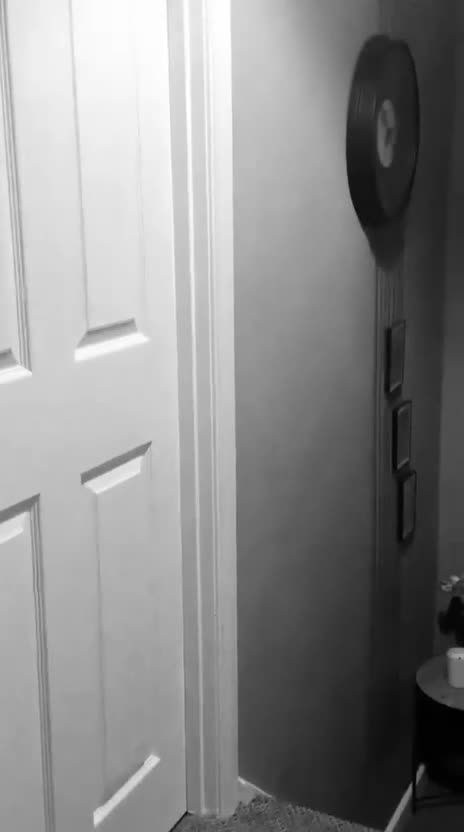 Mixed Breed dogs for adoption: Little Inka is ready for her forever family! - Video 2