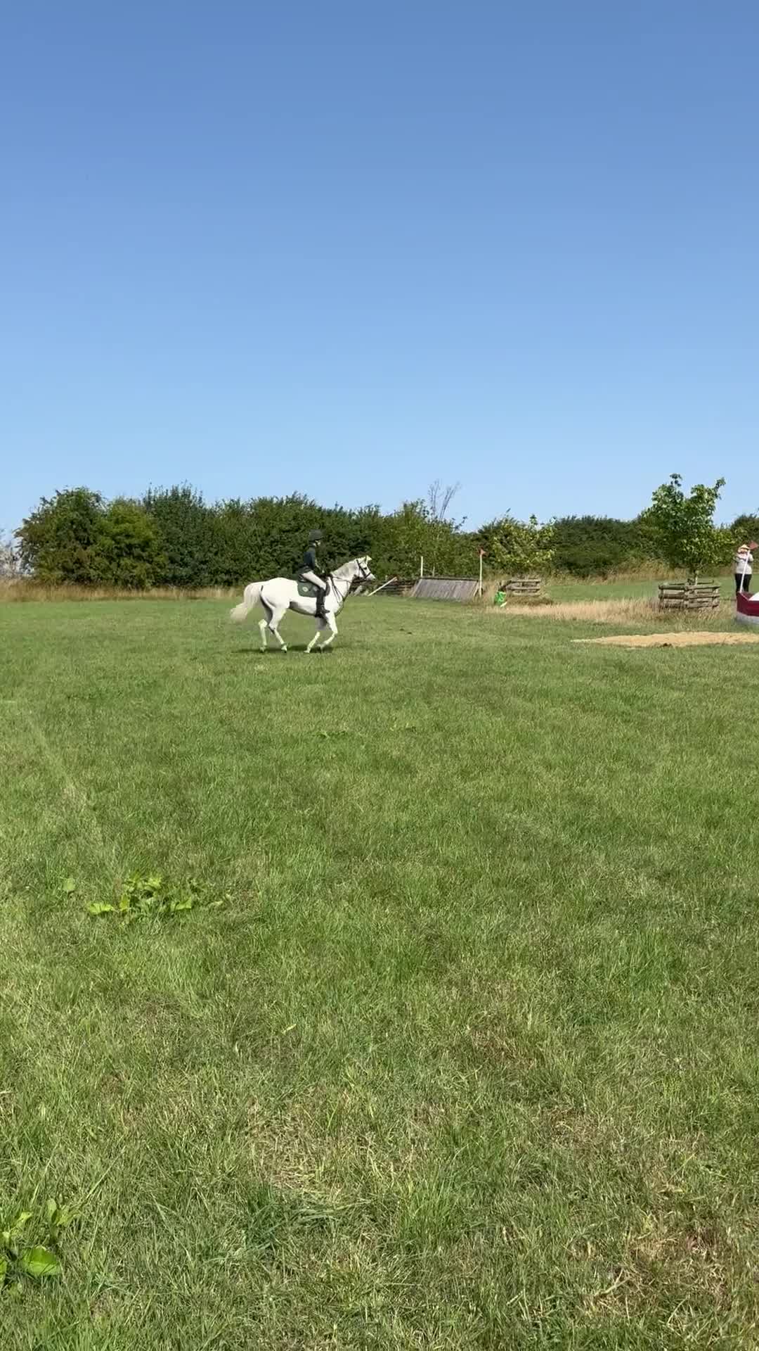 Irish Sports horses for sale: 13.1 Welsh x Irish sports pony  - Video 2