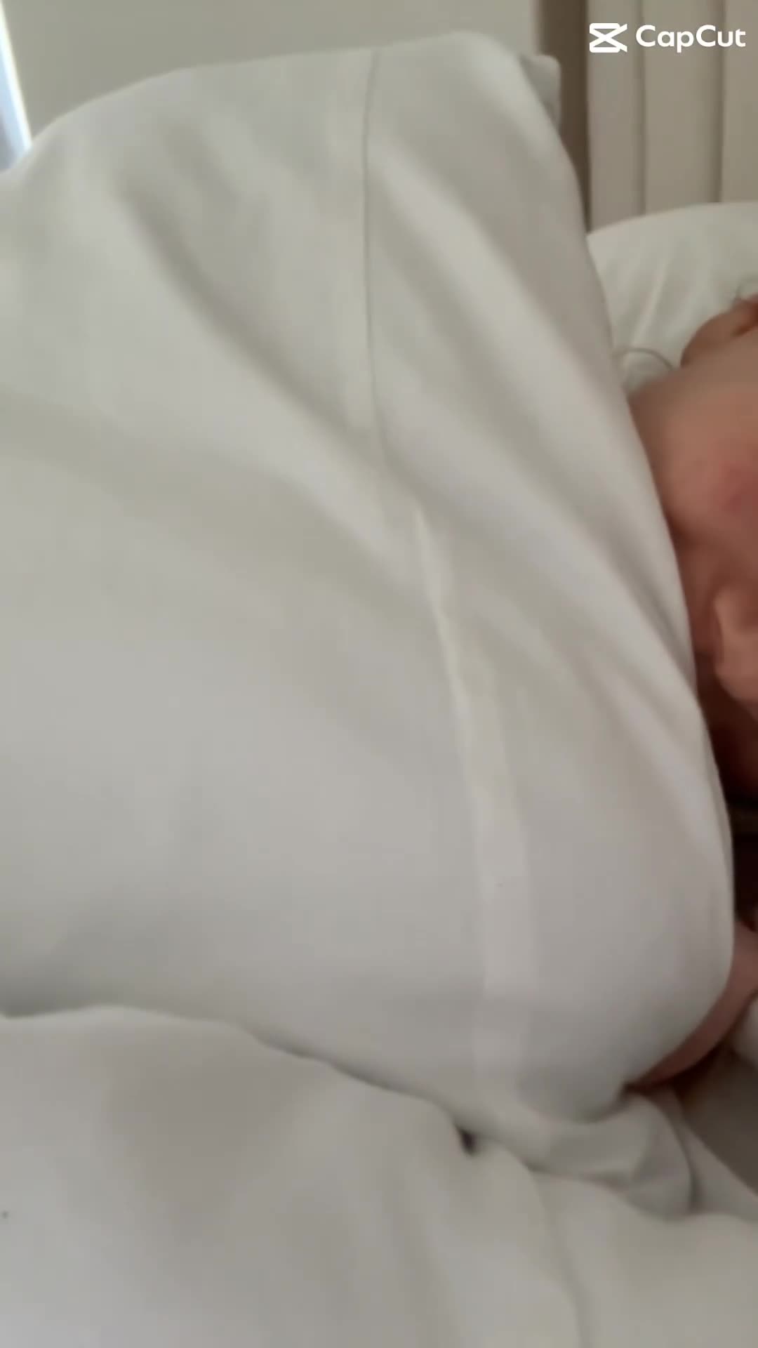 Bengal cats for sale: 🏆🎉New Pedigree Tica Mini Leopards Ready Soon🎉🏆 - Video 4