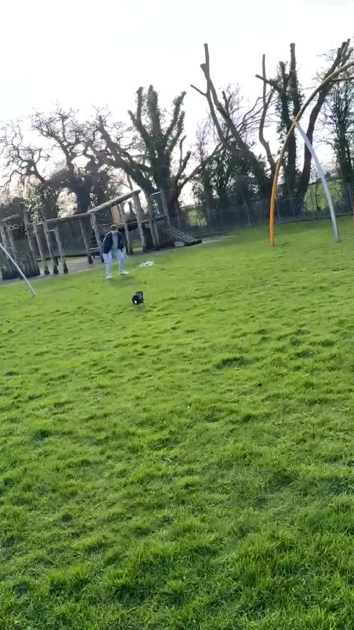 Jackshund dogs for sale: Luna (1 years old) in Thirsk - Video 1