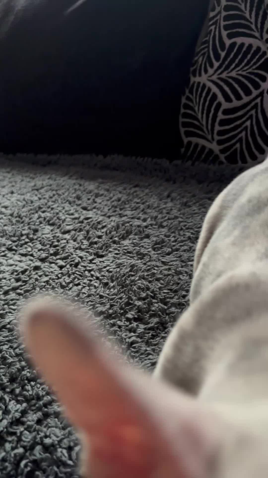 French Bulldog dogs for sale: Husky Koi French Bulldogs  - Video 2