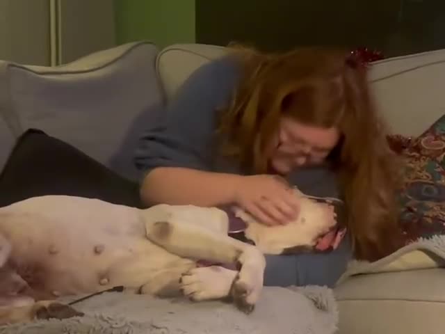 Mixed Breed dogs for adoption: 💙Ghost💙 12 yo rescued from horrific conditions - Video 4