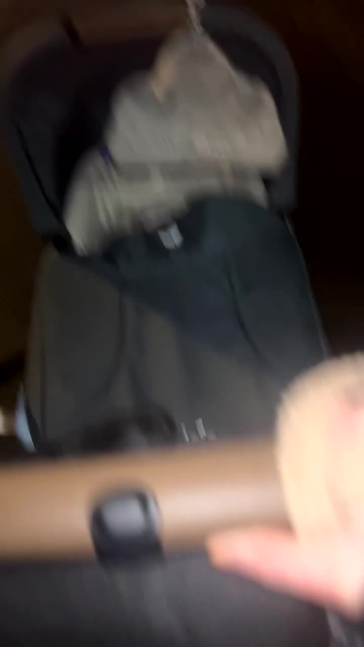 French Bulldog dogs for sale: 5 month old French Bulldog female (blue) - Video 1