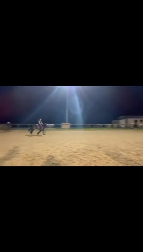 Fell horses for sale: Raven, 14h black Fell x Tb gelding in Matlock - Video 2