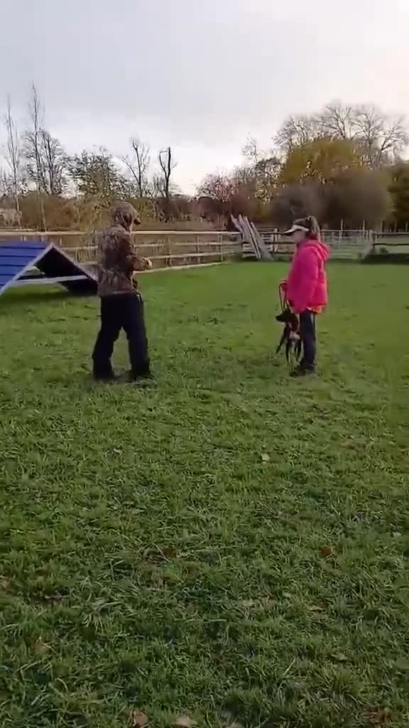 Mixed Breed dogs for adoption: Minnie is ready for her forever home - Video 1