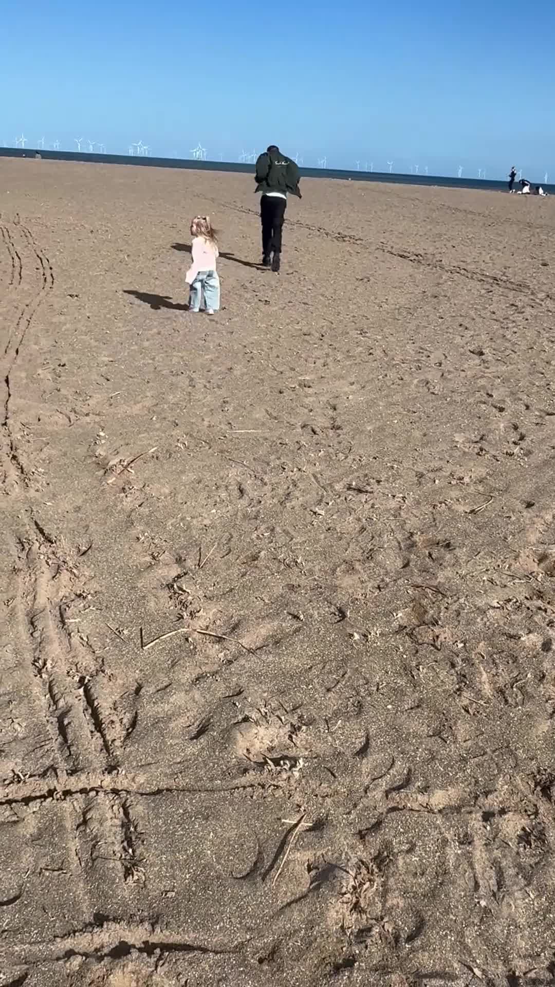 Miniature Dachshund dogs for sale: Luna  - Video 2